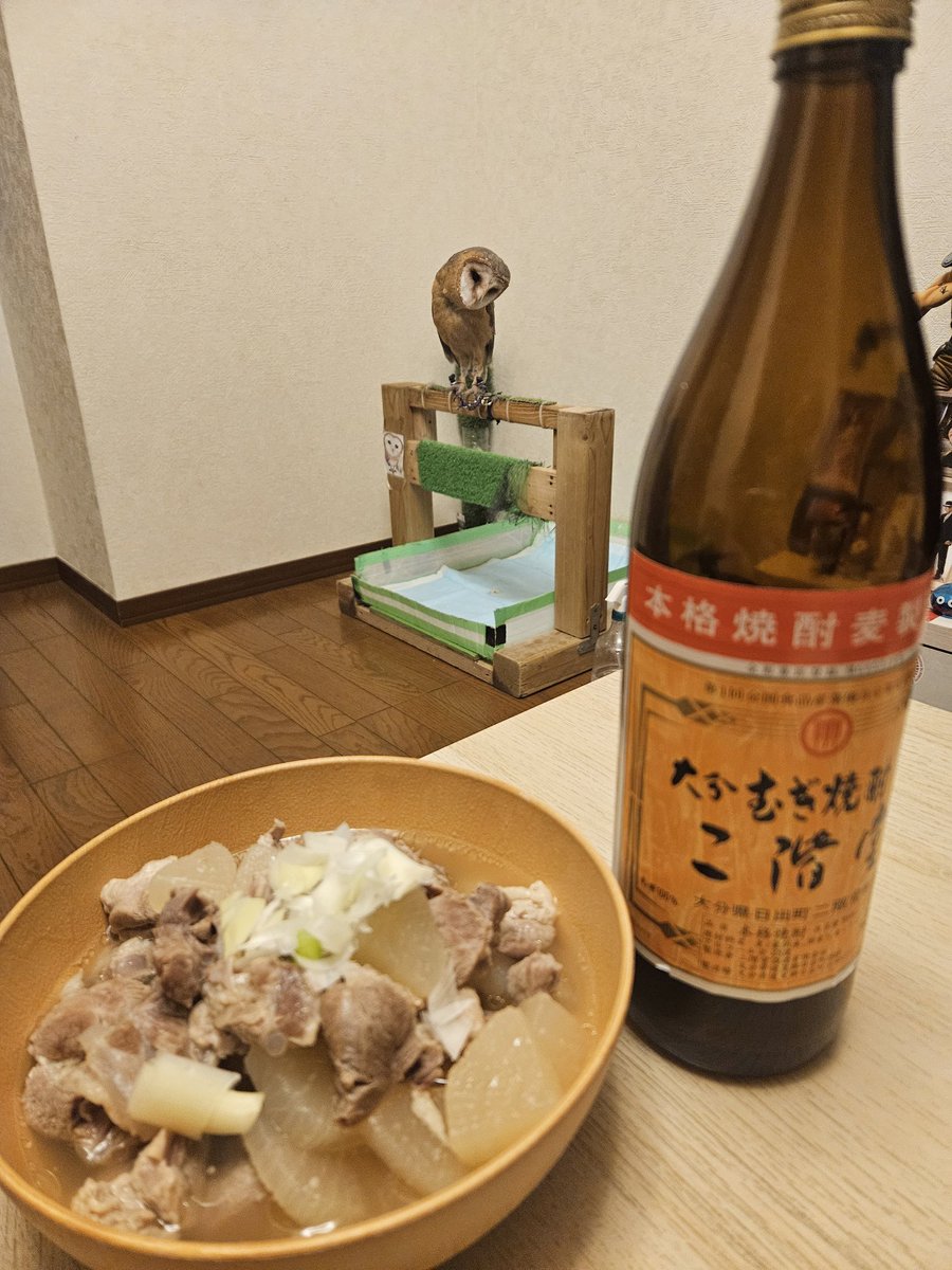 今日の酒のつまみ。

豚すね肉の煮込み完成。

子供が寝た後の楽しみ