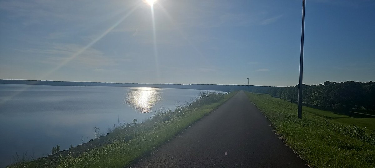 Josh Thomas tweet media