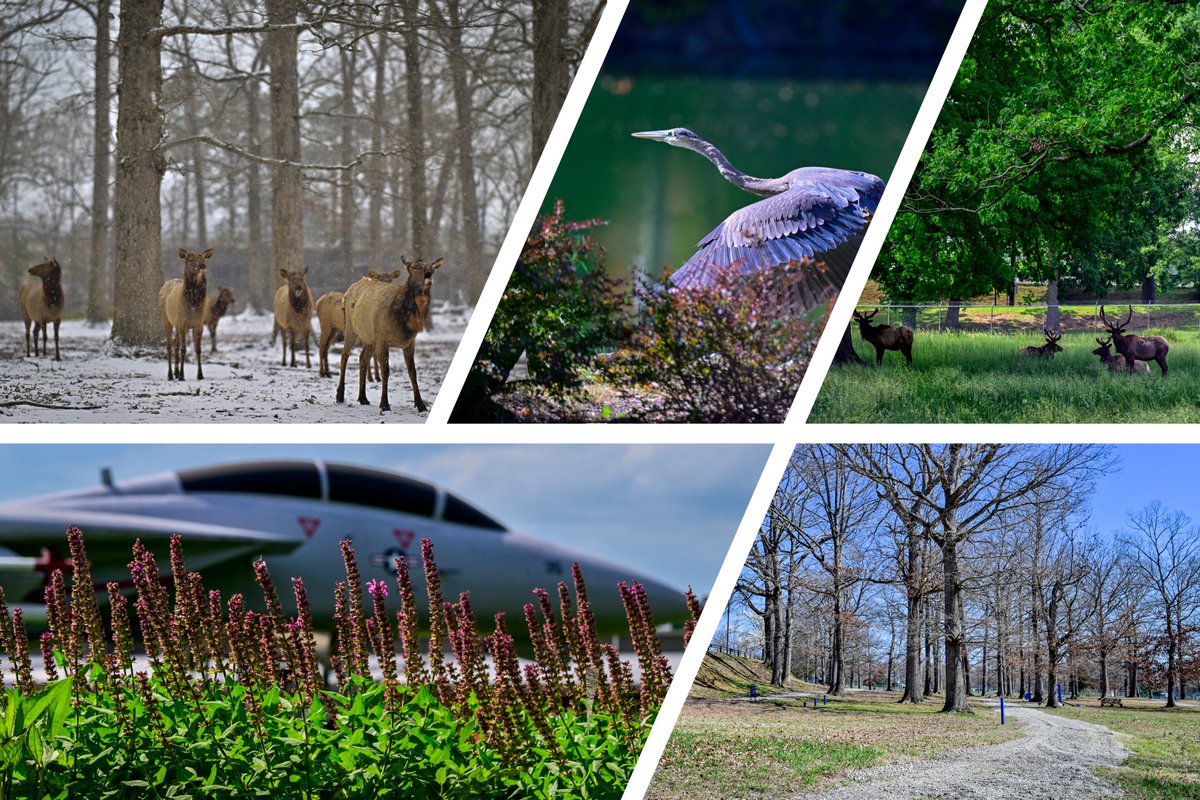 🏆 #DefenseSupplyCenterRichmond has received the 2025 Secretary of Defense Environmental Award for Cultural Resources Management – Small Installation!

From restoring historic sites to protecting waterways from elk waste, #TeamDLA proves mission readiness and sustainability go