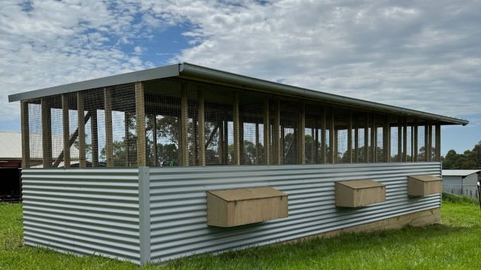 KazunguMireille's tweet photo. Budget-friendly poultry designs.
It’s not about having many hectares, It’s all about using space efficiently.
#PoultryFarming https://t.co/laIFa9OHt7