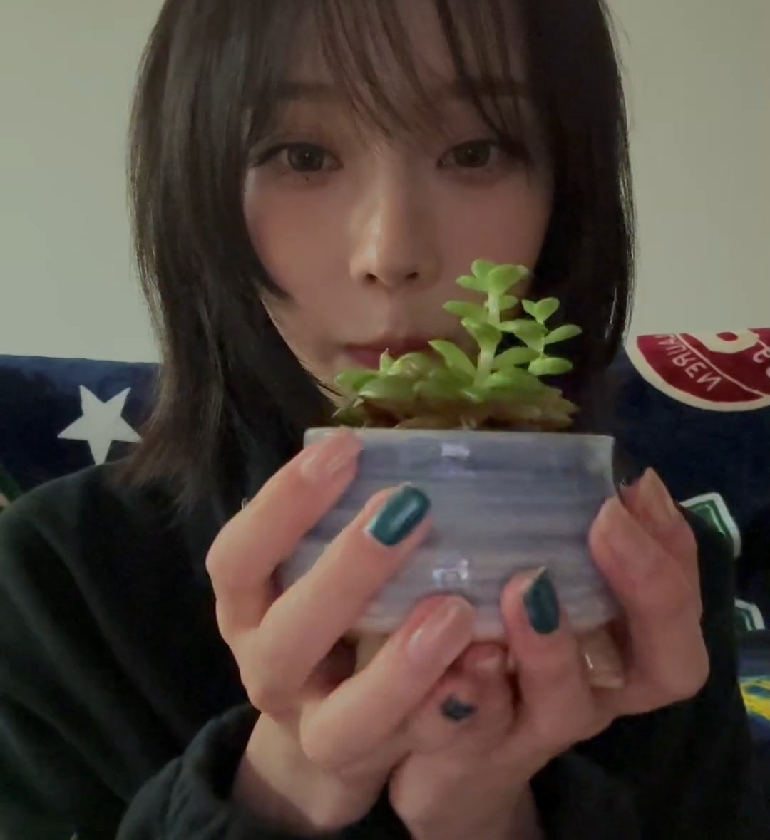 다육이 자랑🩷