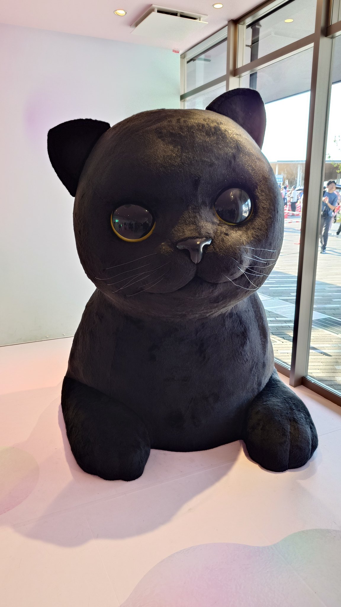 クロネコ げーこ on X: 
