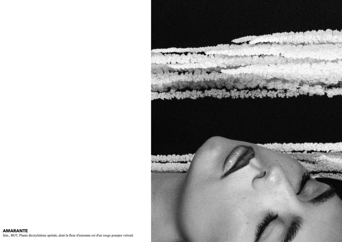 LA FLEUR (@lea_lssd) on Twitter photo 