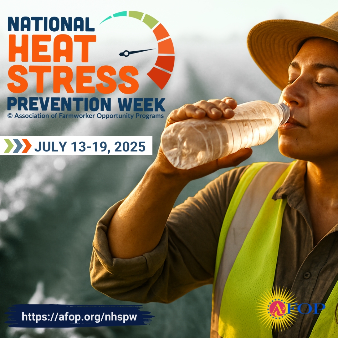 AFOPHealth&Safety tweet media