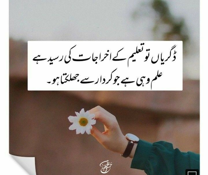 زینبــــ (@_zb_0) on Twitter photo #ملک_پرموشن
Follow🏧
<a href="/01Mllik/">𝙈𝘼𝙇𝙄𝙆 𝙅𝙄💫💙</a> <a href="/1fazl2/">فضـ𝓪𝓴𝓫𝓪𝓻ـل</a>
<a href="/1arshd/">𝗔𝗿𝘀𝗵𝗱 𝗠𝗹𝗶𝗸💫👑</a> <a href="/Znt33/">🦋ZêēñäT</a>
<a href="/01rshd/">ارشـــد مــلــک❤️</a> <a href="/11iasd/">Ali Asad</a>
<a href="/1Arshii/">𝓐𝓻𝓼𝓱𝓲 𝓜𝓵𝓲𝓴 ☪ツ</a> <a href="/guljnt/">گُل جنت🌷</a>
<a href="/111mn1/">🐬آمنہ ملک🦋</a> <a href="/Znt31/">🦋Zeenat🦋</a>
<a href="/1Sehar_/">𝐒ҽԋαʀ 👑</a>
<a href="/glmsjd/">𝑺𝒂𝒋𝒋𝒂𝒅 ✨</a>
<a href="/11hmid/">احمد خان انصافی</a>
@1shobi
<a href="/10bshr/">Bashir Ahmed</a>
<a href="/0Hyyat/">حیات فاطمہ ✨</a>
<a href="/Snam5_/">🍁Sanam🍁</a>
<a href="/_NM40/">Nabil Mughal</a>
<a href="/ZK__32/">Zumar Khan</a>
<a href="/shz787/">🌟⭐️🌟🌟sʜᴀʜᴢᴀᴅ ᴍᴜɴɪʀ🌟⭐️🌟⭐️</a>
<a href="/shZ447/">𝕊𝕙𝕒𝕙𝕫𝕒𝕕 𝕄𝕦𝕟𝕚𝕣</a>
<a href="/Hurain_5/">Hurain 💞حورین</a>
<a href="/NighatYZ/">Nighat Yousafzay</a>
<a href="/Haris_943/">Haris PTI ᵀᶠᴸᵂ</a>
<a href="/_1rhe/">شازیہ</a> <a href="/_zb_0/">زینبــــ</a>
<a href="/ze_kh1/">زینیـــــہ خـان🍃🌸</a> <a href="/Fat9T/">Arshia🥀🍂</a>
<a href="/Ghz35/">🇬 🇭 🇦 🇿 🇦 🇱 🇦 🇭</a> <a href="/Pir_80/">Peer Shb</a>
<a href="/1fzalI/">💓PTI ACCOUNTS PROMORTER💓</a> <a href="/Punj143/">𝓙𝓾𝓽𝓽 💕 🇵🇰</a> #ملک_پرموشن
Follow🏧
<a href="/01Mllik/">𝙈𝘼𝙇𝙄𝙆 𝙅𝙄💫💙</a> <a href="/1fazl2/">فضـ𝓪𝓴𝓫𝓪𝓻ـل</a>
<a href="/1arshd/">𝗔𝗿𝘀𝗵𝗱 𝗠𝗹𝗶𝗸💫👑</a> <a href="/Znt33/">🦋ZêēñäT</a>
<a href="/01rshd/">ارشـــد مــلــک❤️</a> <a href="/11iasd/">Ali Asad</a>
<a href="/1Arshii/">𝓐𝓻𝓼𝓱𝓲 𝓜𝓵𝓲𝓴 ☪ツ</a> <a href="/guljnt/">گُل جنت🌷</a>
<a href="/111mn1/">🐬آمنہ ملک🦋</a> <a href="/Znt31/">🦋Zeenat🦋</a>
<a href="/1Sehar_/">𝐒ҽԋαʀ 👑</a>
<a href="/glmsjd/">𝑺𝒂𝒋𝒋𝒂𝒅 ✨</a>
<a href="/11hmid/">احمد خان انصافی</a>
@1shobi
<a href="/10bshr/">Bashir Ahmed</a>
<a href="/0Hyyat/">حیات فاطمہ ✨</a>
<a href="/Snam5_/">🍁Sanam🍁</a>
<a href="/_NM40/">Nabil Mughal</a>
<a href="/ZK__32/">Zumar Khan</a>
<a href="/shz787/">🌟⭐️🌟🌟sʜᴀʜᴢᴀᴅ ᴍᴜɴɪʀ🌟⭐️🌟⭐️</a>
<a href="/shZ447/">𝕊𝕙𝕒𝕙𝕫𝕒𝕕 𝕄𝕦𝕟𝕚𝕣</a>
<a href="/Hurain_5/">Hurain 💞حورین</a>
<a href="/NighatYZ/">Nighat Yousafzay</a>
<a href="/Haris_943/">Haris PTI ᵀᶠᴸᵂ</a>
<a href="/_1rhe/">شازیہ</a> <a href="/_zb_0/">زینبــــ</a>
<a href="/ze_kh1/">زینیـــــہ خـان🍃🌸</a> <a href="/Fat9T/">Arshia🥀🍂</a>
<a href="/Ghz35/">🇬 🇭 🇦 🇿 🇦 🇱 🇦 🇭</a> <a href="/Pir_80/">Peer Shb</a>
<a href="/1fzalI/">💓PTI ACCOUNTS PROMORTER💓</a> <a href="/Punj143/">𝓙𝓾𝓽𝓽 💕 🇵🇰</a>
