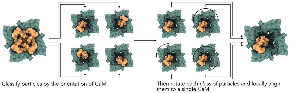 Structura Biotechnology tweet media