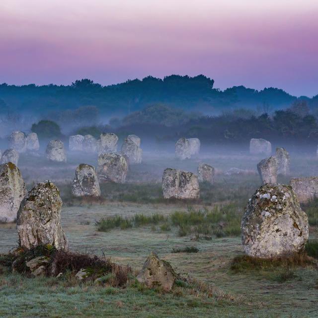 Jérémie Patrier-Leitus (@jpatrierleitus) on Twitter photo 🇫🇷Les mégalithes de Carnac et des rives du <a href="/morbihan_fr/">Département du Morbihan</a> deviennent le 54e bien français à être inscrit sur la Liste du patrimoine mondial de l’humanité de l’<a href="/UNESCO/">UNESCO 🏛️ #Education #Sciences #Culture 🇺🇳</a>.
🤝La reconnaissance d’un site patrimonial exceptionnel, de l’engagement des élus, des chercheurs, scientifiques. 🇫🇷Les mégalithes de Carnac et des rives du <a href="/morbihan_fr/">Département du Morbihan</a> deviennent le 54e bien français à être inscrit sur la Liste du patrimoine mondial de l’humanité de l’<a href="/UNESCO/">UNESCO 🏛️ #Education #Sciences #Culture 🇺🇳</a>.
🤝La reconnaissance d’un site patrimonial exceptionnel, de l’engagement des élus, des chercheurs, scientifiques.
