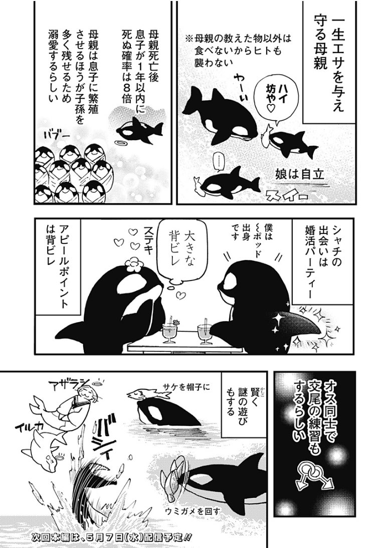 2/2
全話無料⬇️
shonenjumpplus.com/episode/316190…