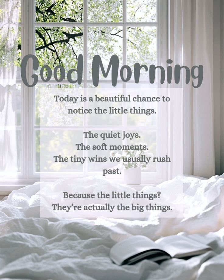 Good morning! Happy Monday! It’s a new day filled with opportunities. I hope you have the best day ever. Don’t forget to smile. #Monday #MondayMorning