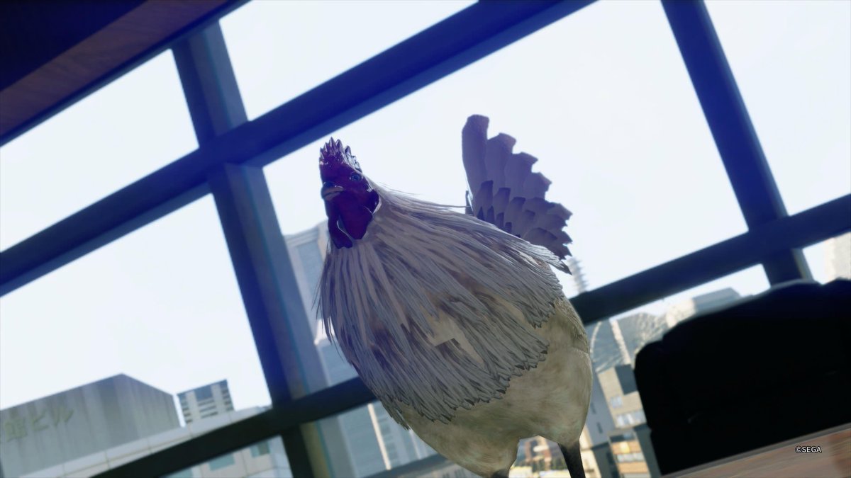 【 #龍が如く7 】

企業ランク1位になった🙌✨

第9章の敵にレベルが低すぎて勝てずに立ち往生💧もはやこれまでか…と思った矢先にやるべき事を師匠から教りました🙏

まずは会社経営やってました🤭喧嘩もないし楽しかった👍次からはレベル上げするんだ💪🔥