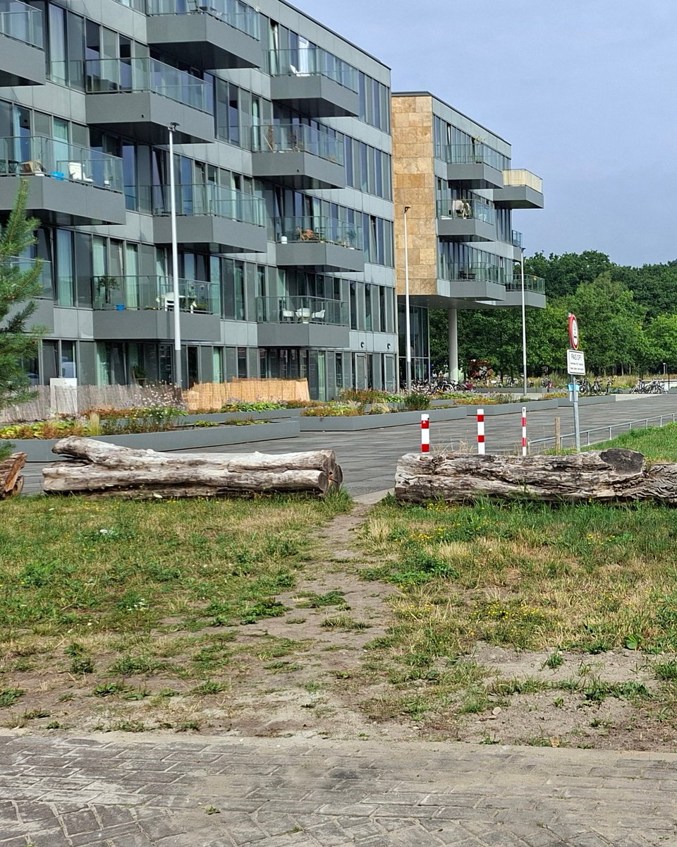 In Eindhoven gebeuren de laatste jaren goede dingen. Vraag dat maar eens aan de mensen in Amsterdam of Rotterdam. Maar ook op het gebied van Olifantenpaadjes scoort men goed. Hup  de zaag erin!

- Waardering: ⭐️⭐️⭐️⭐️
- Terreinwinst: 11 meter
- Locatie: Eindhoven