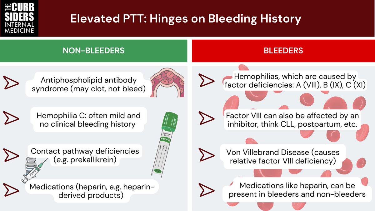 The Curbsiders (@thecurbsiders) on Twitter photo 🚨New episode!!! #491: Benign Hematology with Dr. Brad Beeler
Decode low neutrophils, recognize thalassemia without chasing iron, and sharpen your approach to bleeding disorders in primary care. 🩸
Written and produced and notes, cover art, and infographic <a href="/PaulWurtz10/">Paul Wurtz MD</a> 🚨New episode!!! #491: Benign Hematology with Dr. Brad Beeler
Decode low neutrophils, recognize thalassemia without chasing iron, and sharpen your approach to bleeding disorders in primary care. 🩸
Written and produced and notes, cover art, and infographic <a href="/PaulWurtz10/">Paul Wurtz MD</a>