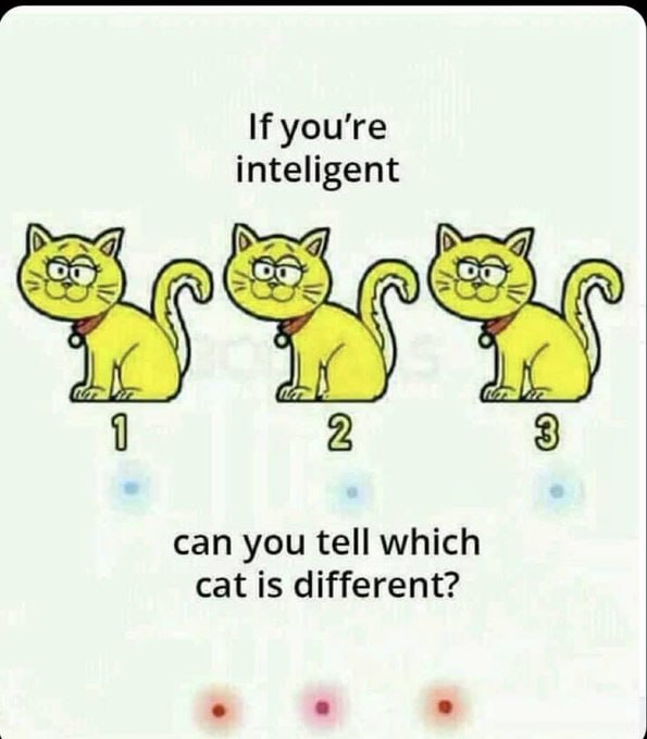 Can you ?