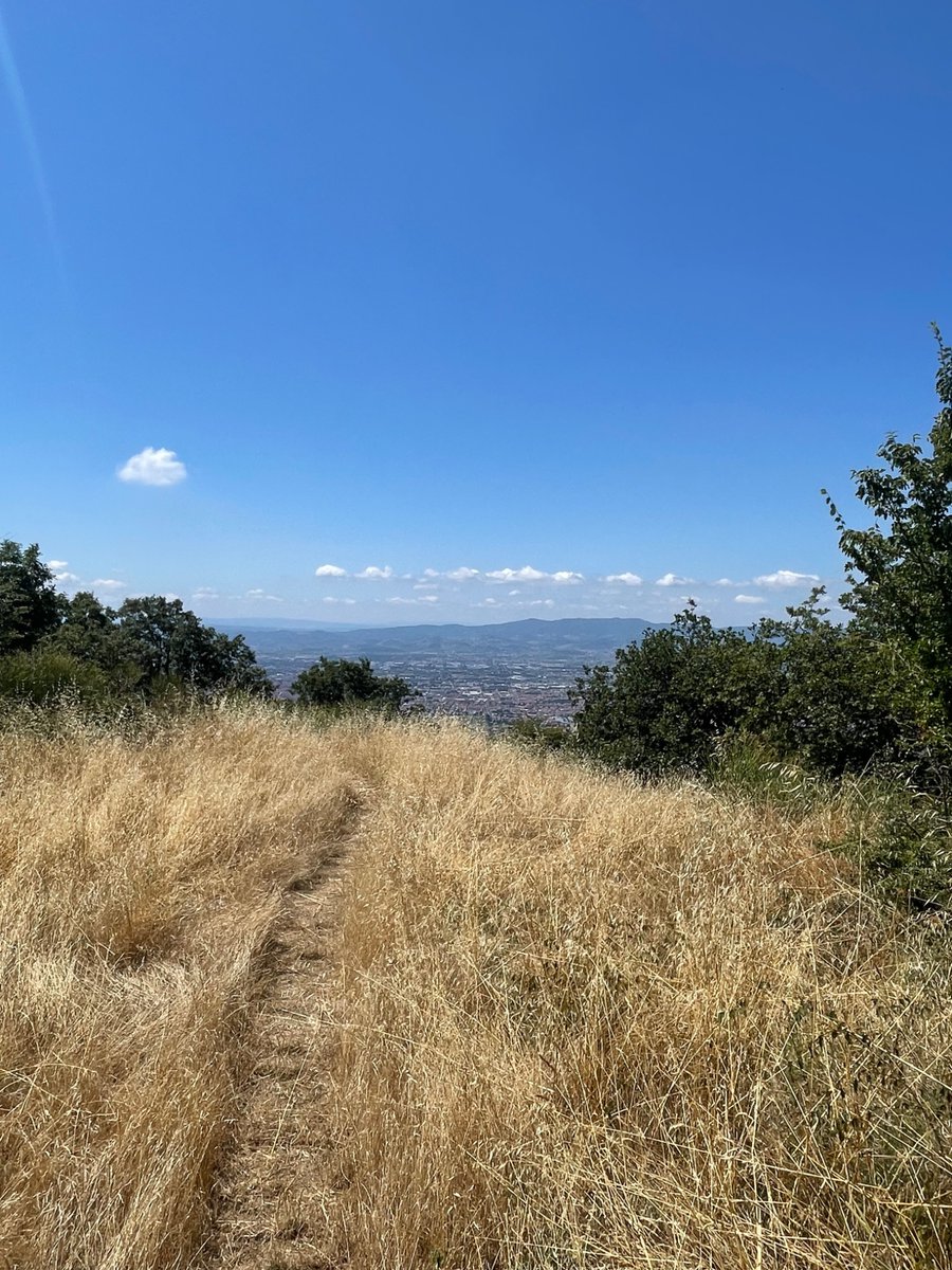 _michaelbarron's tweet image. Hiked to Curzio Malaparte’s mausoleum on the summit of Monte le Coste overlooking his Tuscan hometown, Prato. This was his wish and to honor it, workers installed a temporary track to haul up material.