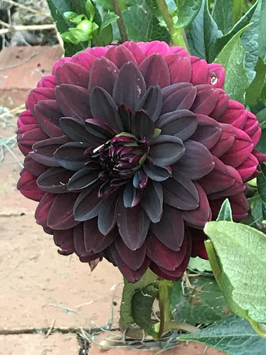 Collabor8tor's tweet image. 