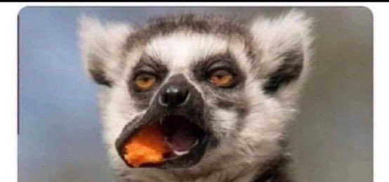 Steve🔧 (@sobaskii) on Twitter photo 