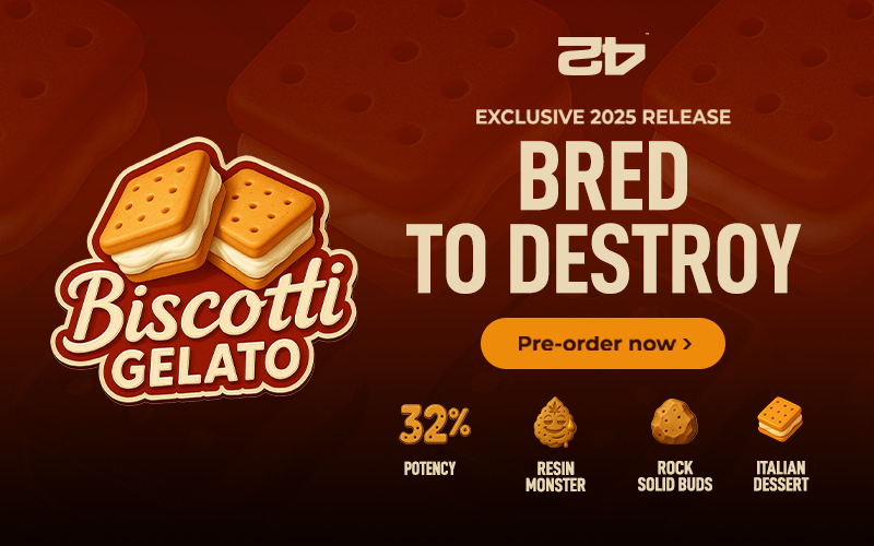 Fast_Buds's tweet image. 🍦New Strain Drop! 🍦
A new exclusive photoperiodic strain, Biscotti Gelato, comes from the best cuts in our collection.
Refined and adjusted for modern times, it's possibly the most potent strain we've ever created, featuring flavors of sweet cookie and fresh lemon zest over a…