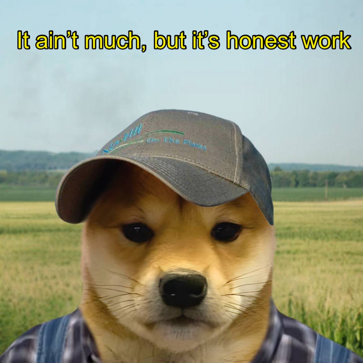 dogwifcoin (@dogwifcoin) on Twitter photo 