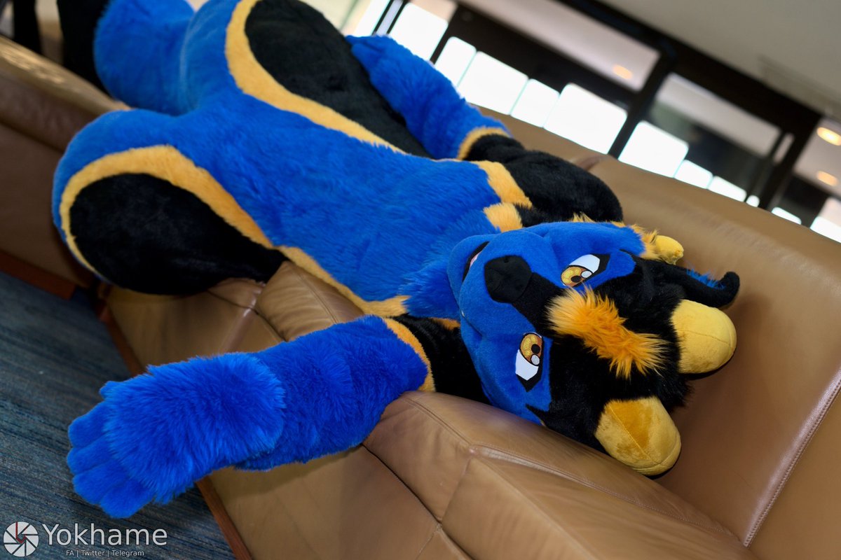 Do I have to get up? Could we just cuddle?

📷: <a href="/yokhame/">@yokhame.bsky.social</a>