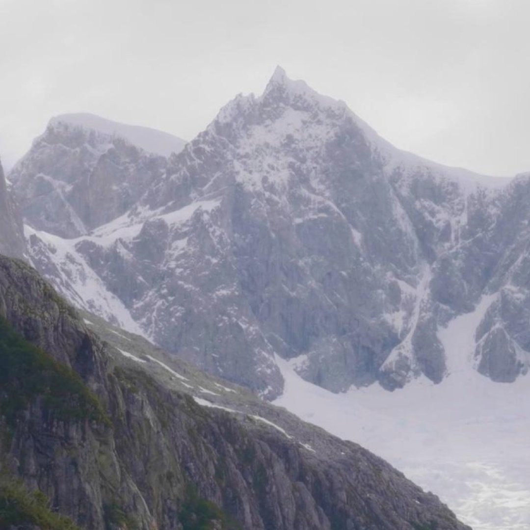 💡 Ego vs. Higher Calling

Is it ego—or something greater calling him forward?

 Robert asked himself what we all wonder when we're on the edge of something huge:
 ❝ Is this about me… or something much bigger than me? ❞

Peace Pilot explores that razor-thin line between