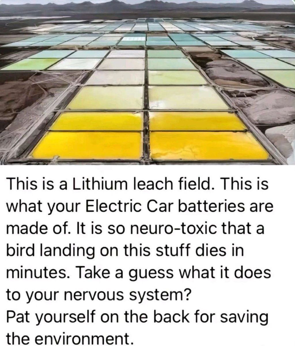 Good morning, electric car owners.