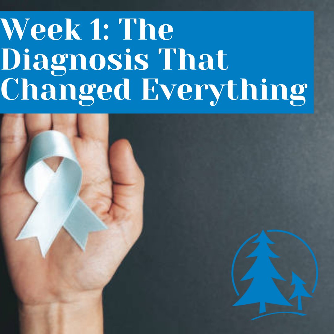 Follow along each Monday for a 3-part blog series written by our Communications Director, Pesi Katz, who shares from her own experience being diagnosed with a chronic illness. 

🔗 Read the full post: forrestspencefund.org/blog