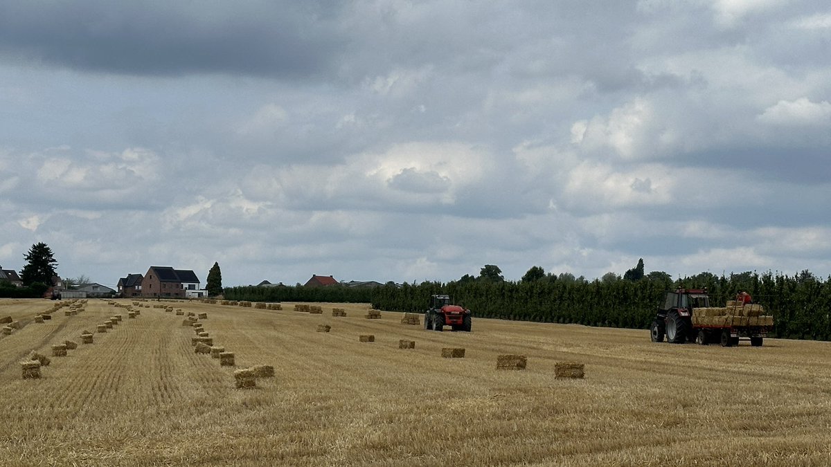#vrtweer. Ransberg 14u35
Temp 25°