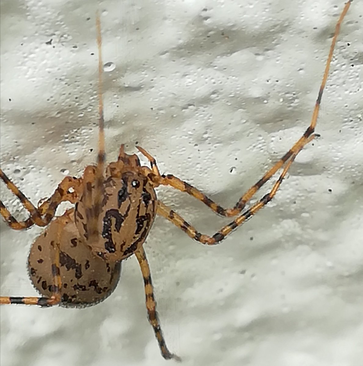 Gv0eiDGaAAA--fH.jpg?format=jpg