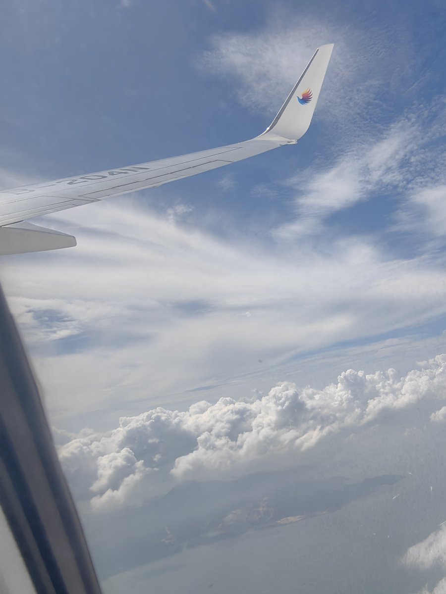 Master冷面上校 tweet media