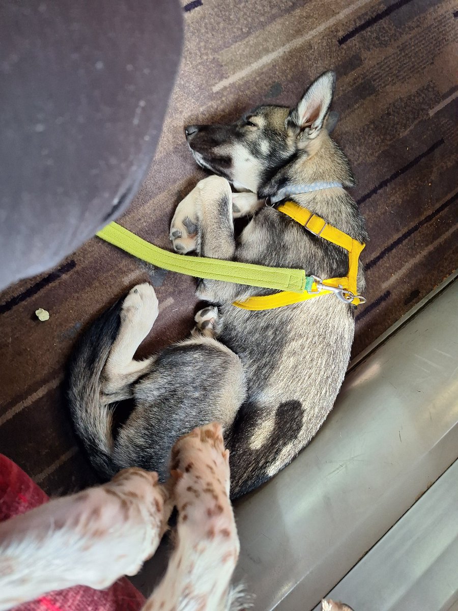 Had a great come at the convention now on our way home