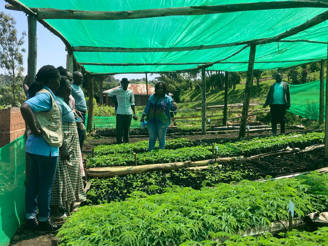 NLinUganda's tweet image. We have published the answers to the questions that were raised with regard to the Call for Seed Sector Development Proposals. You can find the Q&As here: shorturl.at/xt2Ow
Deadline for full proposals is 22nd of August