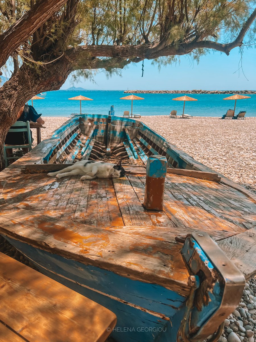 Frau_Nikon's tweet image. #Greece #Samos