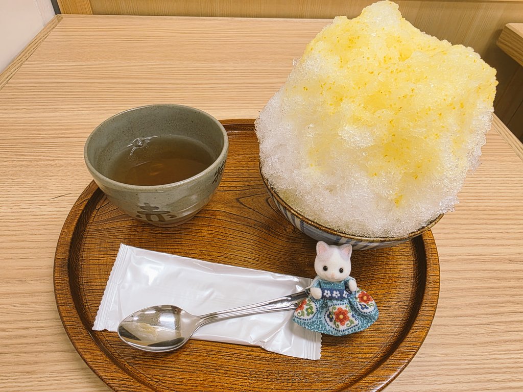Kyon4u3's tweet photo. #月曜からシルバニア
最近柑橘系のかき氷ばかり食べてしまう！おめめのついたのはチョコミント👀 https://t.co/gaDBFIIRHt