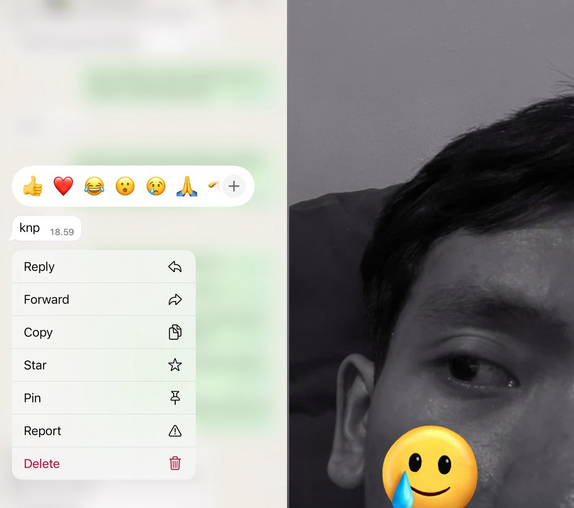 pumpkiinseed tweet media