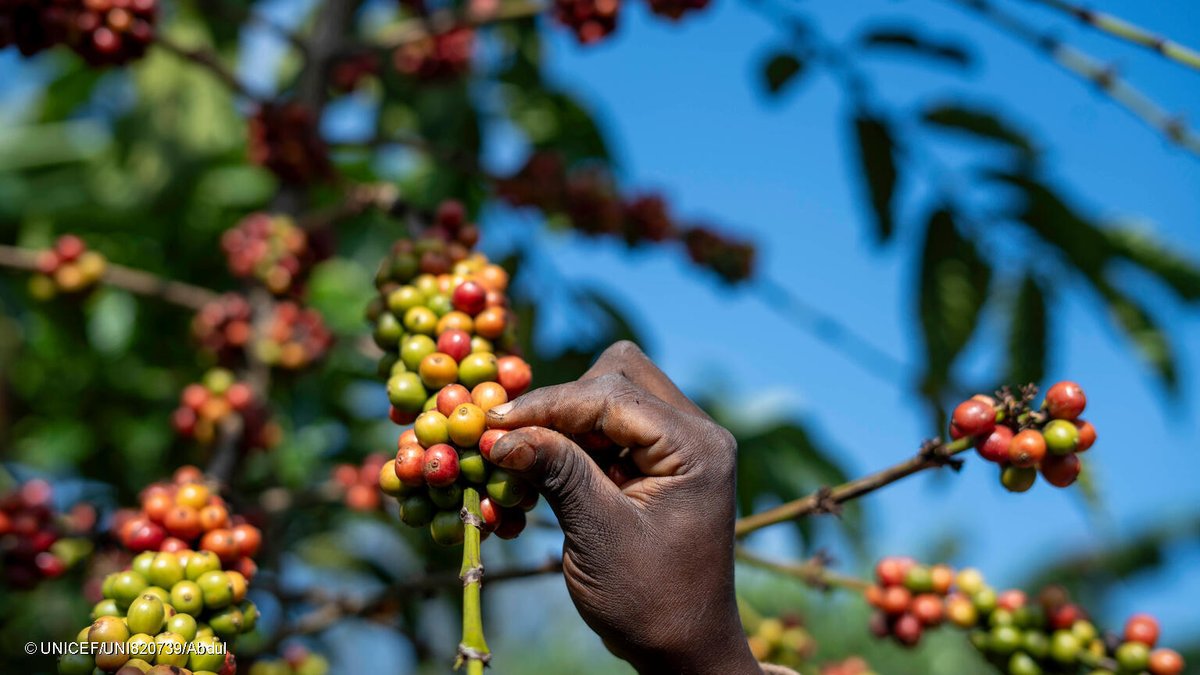 UNICEF Uganda tweet media