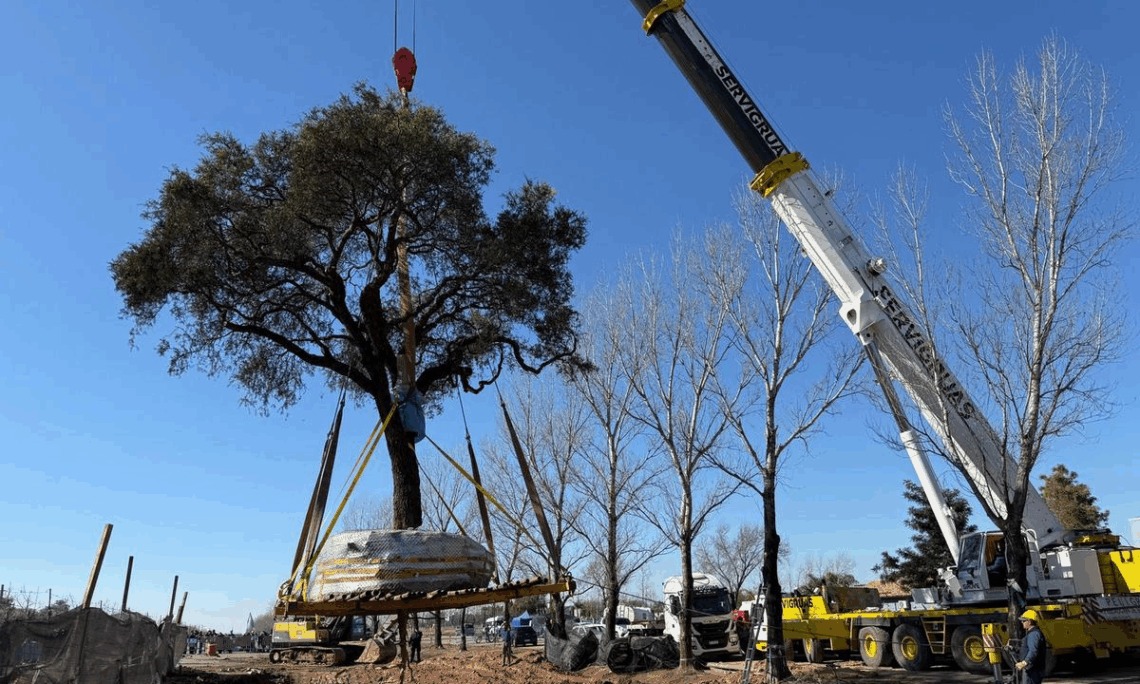 📢 Tras días de tensión, removieron el quebracho de 284 años para ampliar una avenida en Villa Allende.

Aldana Varas, periodista de LRA7 Radio Nacional Córdoba, charló con <a href="/hugomakiavelico/">Hugo Macchiavelli</a> y el equipo de #CreerOReventar.

👉🏻 radionacional.com.ar/tras-dias-de-t…