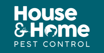 Q: What happens when you team up with the right SEO &amp; hosting partner?
 A: “Front page of Google. Real leads. No waffle. Just results.”
– James, House &amp; Home Pest Control
Big thanks for the shoutout! 🙌
👉 thehostingpool.com #SEO #SmallBusiness #WebHosting #Testimonial