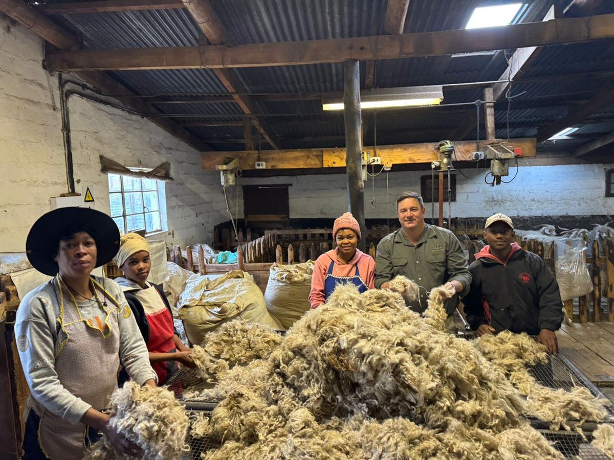 jsteenhuisen's tweet image. Was great to spend some time last week visiting shearing sheds in the Eastern Cape. The RSA mohair sector is an important growth industry for the entire value chain, it supports farmers, shearers, processors and producers of garments. The luxury fibres are highly sought after…