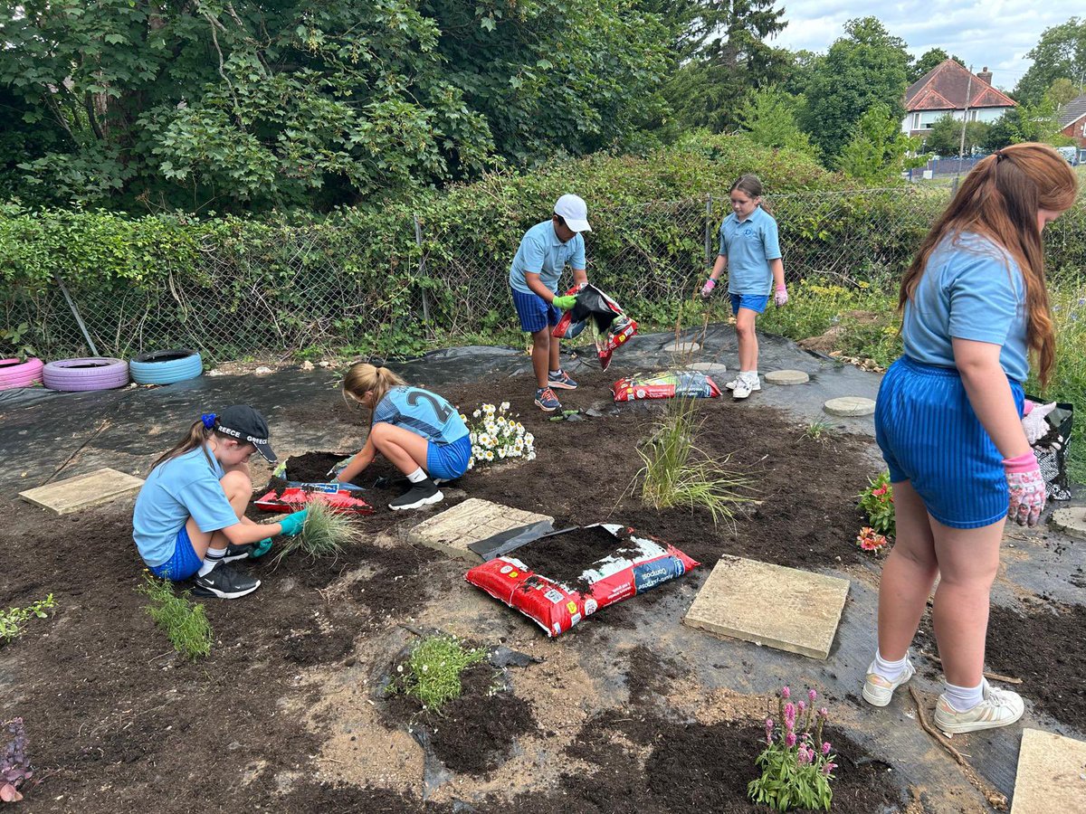 Shawley Community Primary Academy (@shawleyprimary) on Twitter photo Year 5 and 6 worked very hard in our new garden pulling weeds, laying bark and spreading soil around new plants. It’s great to see it all come together!
<a href="/LEOacademies/">LEO Academy Trust</a> <a href="/ShawleyPrimary/">Shawley Community Primary Academy</a>
#WeAreLEO Year 5 and 6 worked very hard in our new garden pulling weeds, laying bark and spreading soil around new plants. It’s great to see it all come together!
<a href="/LEOacademies/">LEO Academy Trust</a> <a href="/ShawleyPrimary/">Shawley Community Primary Academy</a>
#WeAreLEO