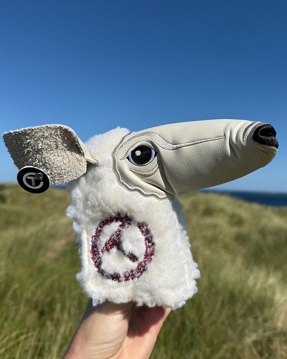 Fully_Equipped's tweet image. Scotty Cameron is getting into the Open Championship spirit. 🐑
(📸 @ScottyCameron)