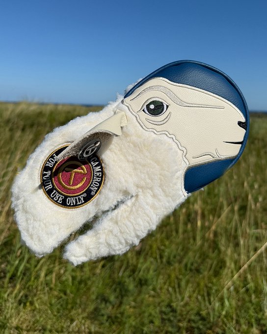 Fully_Equipped's tweet image. Scotty Cameron is getting into the Open Championship spirit. 🐑
(📸 @ScottyCameron)