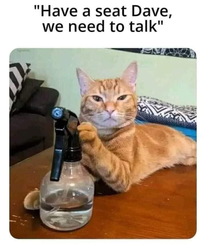 😂 😂 😂