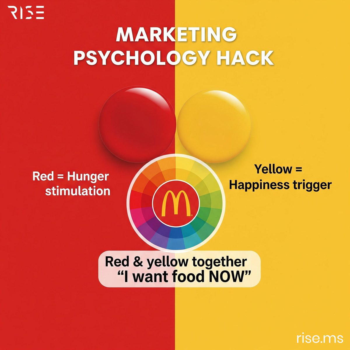 Rise Marketing tweet media