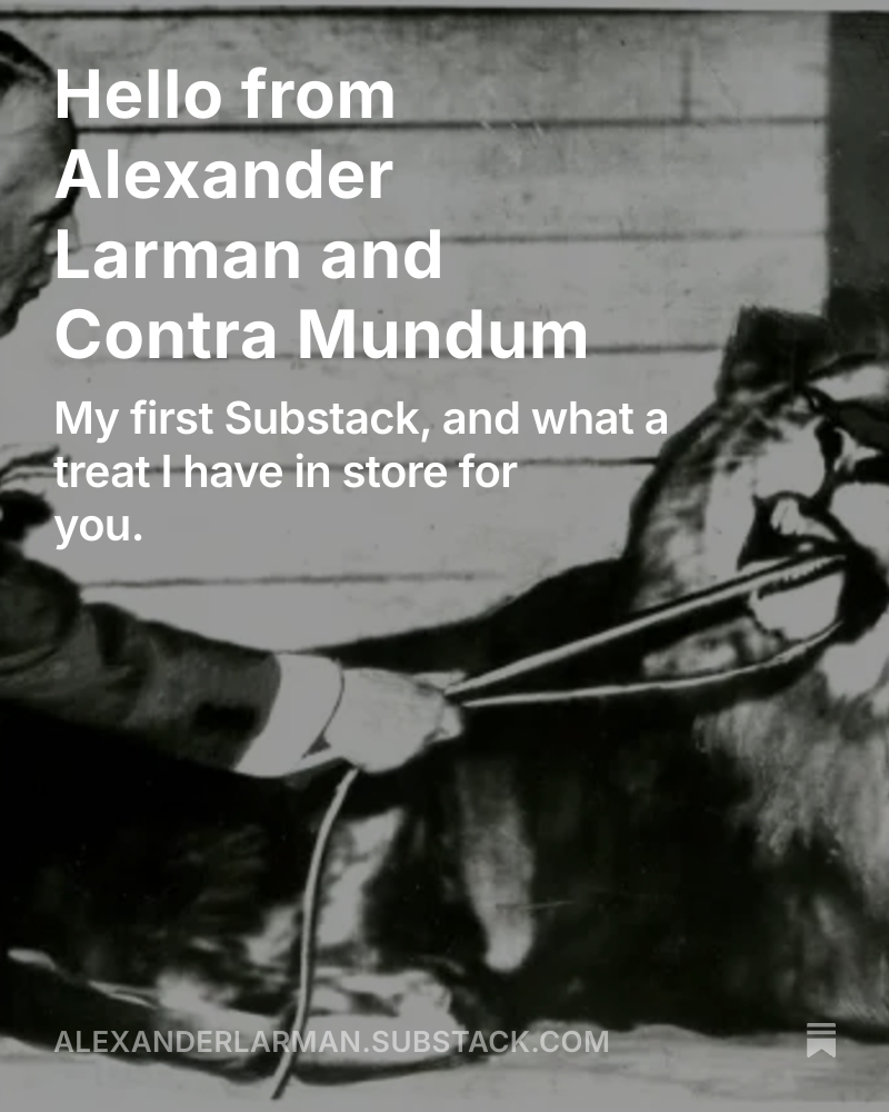 alexlarman's tweet image. I didn't wake up today with any plans to launch a subscription-based newsletter, but it's 150 years since Harold Davidson was born, and so it just seemed the right sort of time. Here's the first one, subscribe if you'd like to read more.