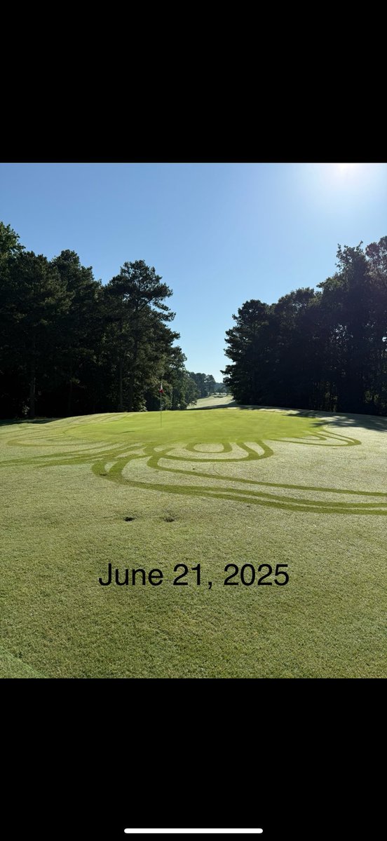 Georgia Riley tweet media