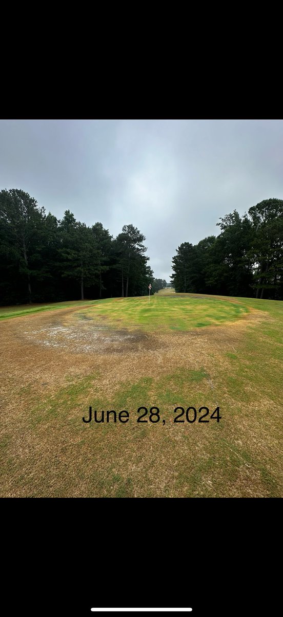 Georgia Riley tweet media