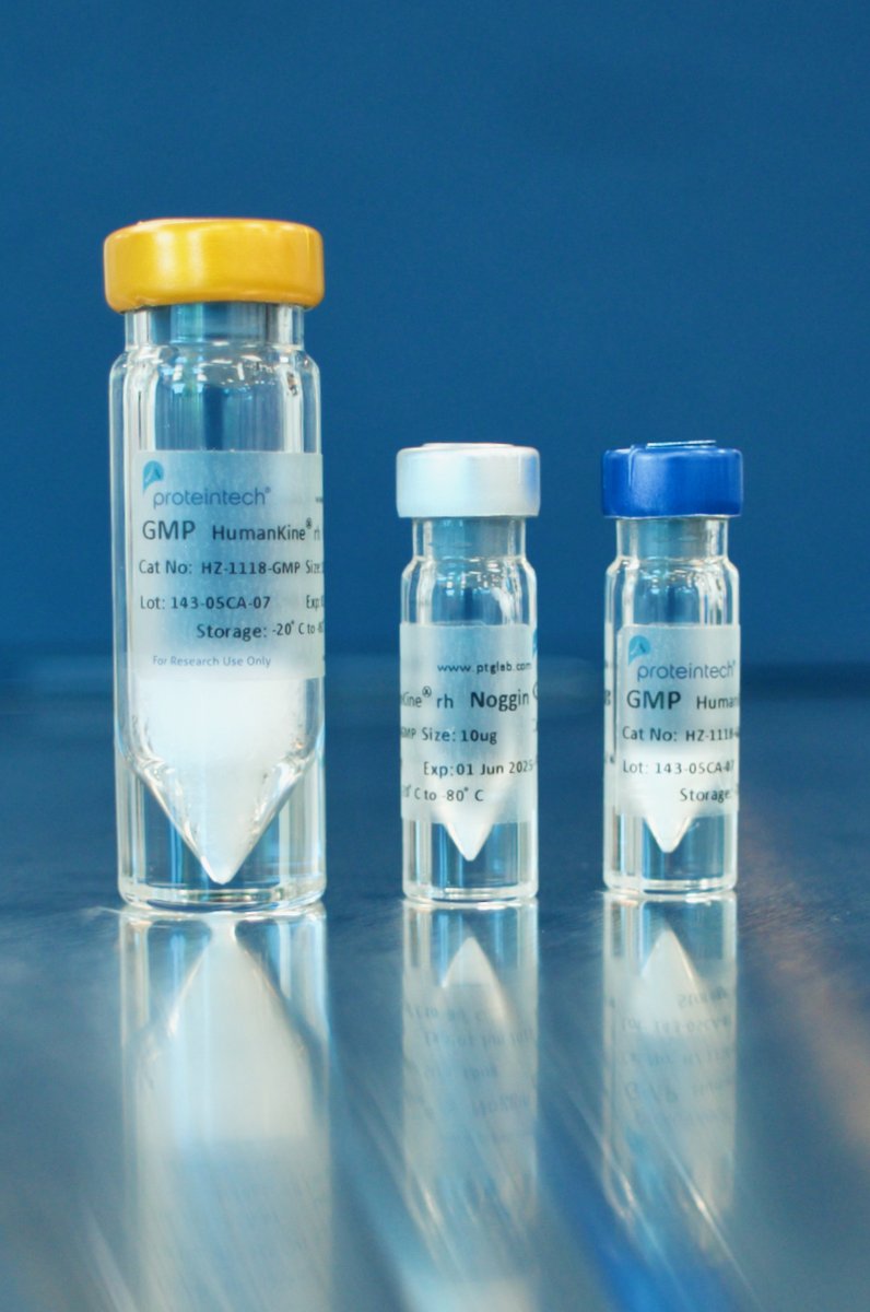 Proteintech's tweet image. HumanKine IL-15 from Proteintech is 6 times more bioactive than the international standard
➡️ Experience the HumanKine difference:
ptglab.com/products/recom…
#CellTherapy #IL15 #TCellExpansion #Immunotherapy #Cytokines #HumanKine