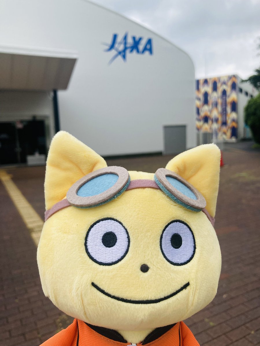 kazu 🐸🦖⸒⸒🐤 (@LrO1FnYsb88YboI) / Posts / X