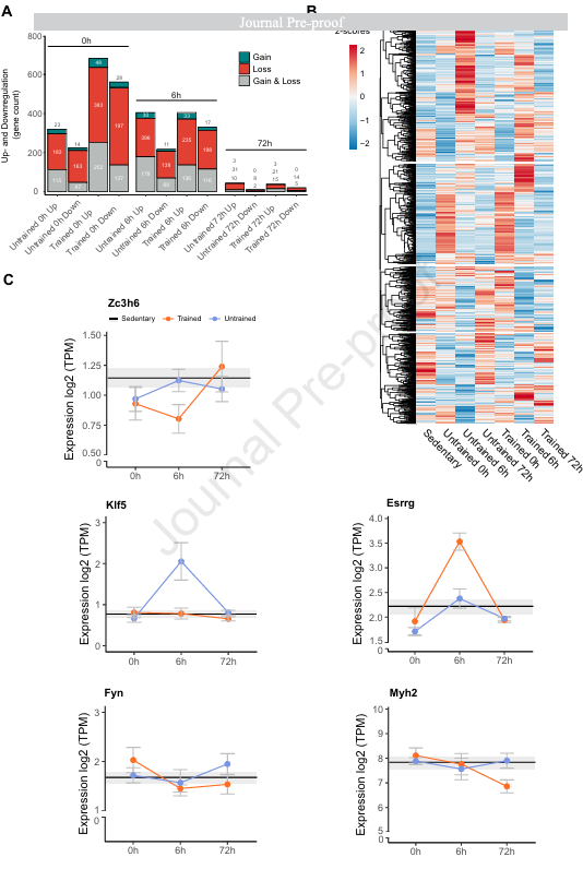 DrMyohead's tweet image. Endurance training promotes chromatin closure and timely repression of the post-exercise immediate early stress response
doi.org/10.1016/j.molm…