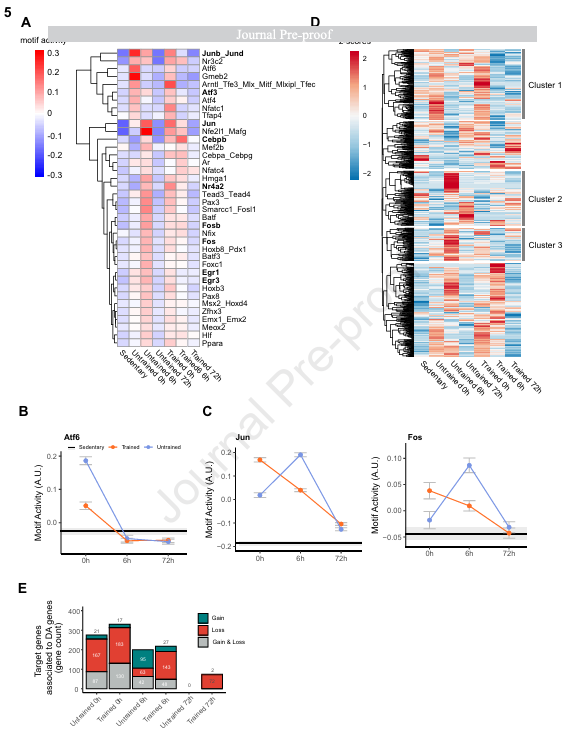 DrMyohead's tweet image. Endurance training promotes chromatin closure and timely repression of the post-exercise immediate early stress response
doi.org/10.1016/j.molm…